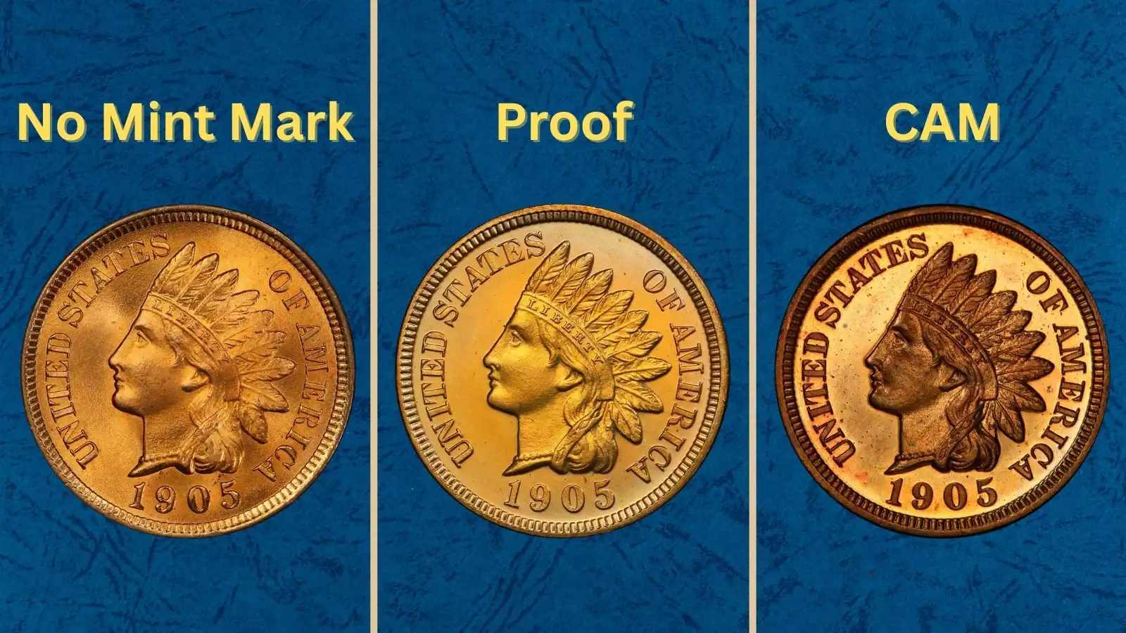 1905 Indian Head Penny grading strip showing four condition tiers: Worn (G-4), Circulated (VF-20), Uncirculated (MS63 RB), and Gem (MS65 RD)